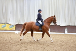 SBM_000935