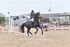 BPP_8519