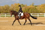 SBM_002792