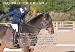 BPP_7947