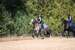 WJ6_8679