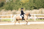 SBM_018201