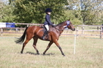 Class 16 - Family Pony portfolio