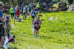 The Finish-1312