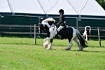 SBM_09325