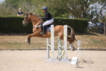 20260809-1981