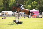 SBM_08203