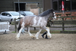 SBM_008033