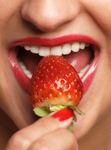 The Bite