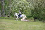 WJ6_1431