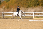 SBM_010623