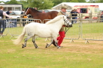 SBM_04411