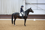 Class 15-16-18 - Novice 3-Elementary 1-PYO portfolio