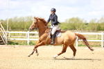 SBM_003444