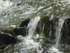 Kyoto Garden, Holland Park