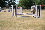 WJ6_5843