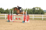 SBM_026883