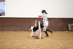 SBM_001069