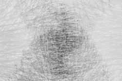 Vortex