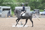 BPP_0337