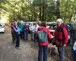 049 Ready to Walk Nidderdale