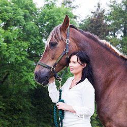 horse-and-rider-portrait-9