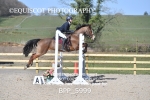 BPP_5999