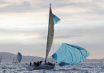 130601 FLYING FISH GBR9043T IMG_5045