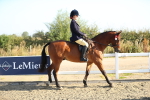 SBM_00378