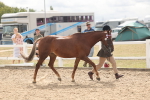 SBM_04916