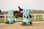 SBM_001382
