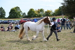 WJ6_6567
