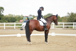 SBM_004275