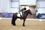 SBM_002331