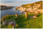 Down by the Harbour, Ballintoy (IMG1076)