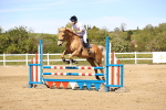 SBM_003094