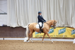 SBM_000656