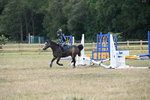 WJ6_8466