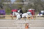 BPP_9038