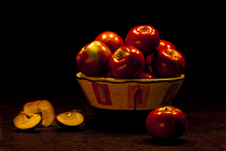 STILLIFE portfolio
