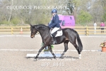 BPP_8441