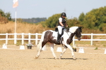 SBM_018281