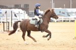 SBM_001538