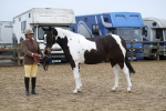 SBM_008046