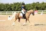 SBM_010264