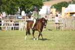 SBM_09250