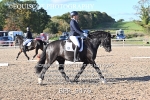 BPP_9476