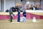 SBM_10156