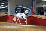 SBM_13928