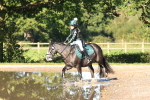 SBM_17360
